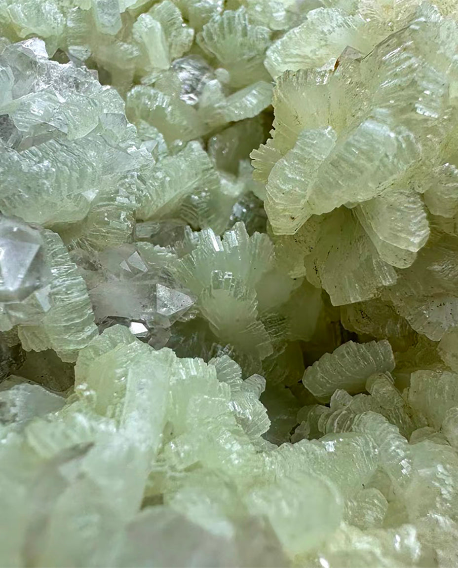 The Quiet Hollow | Prehnite & Quartz Symbiosis