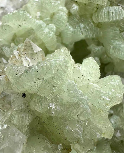 The Quiet Hollow | Prehnite & Quartz Symbiosis