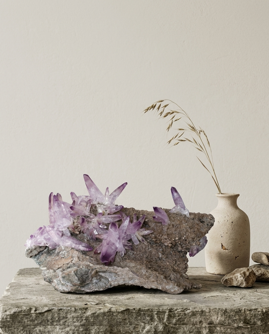 Museum grade Vera Cruz amethyst crystal cluster with radiating flower habit on heavy raw matrix, styled with dried grass in a wabi-sabi ceramic vase, statement quiet luxury mineral decor by STILLMANTLE⁠