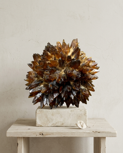 A striking, raw Amber Calcite mineral cluster with radiating, dogtooth-shaped crystals in deep honey hues, displayed as a sculptural piece on a concrete block and rustic wooden table