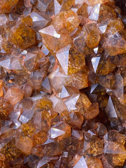 Macro detail of natural Red Rutilated Quartz crystal points, showcasing fine golden rutile needle inclusions and raw earthy matrix, high-clarity uncut mineral specimen texture.