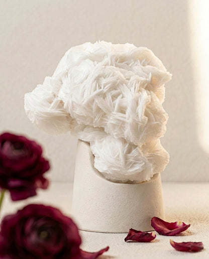 White Angel Wing Calcite specimen on a minimalist beige concrete stand, framed by blurred deep burgundy flowers in the foreground.