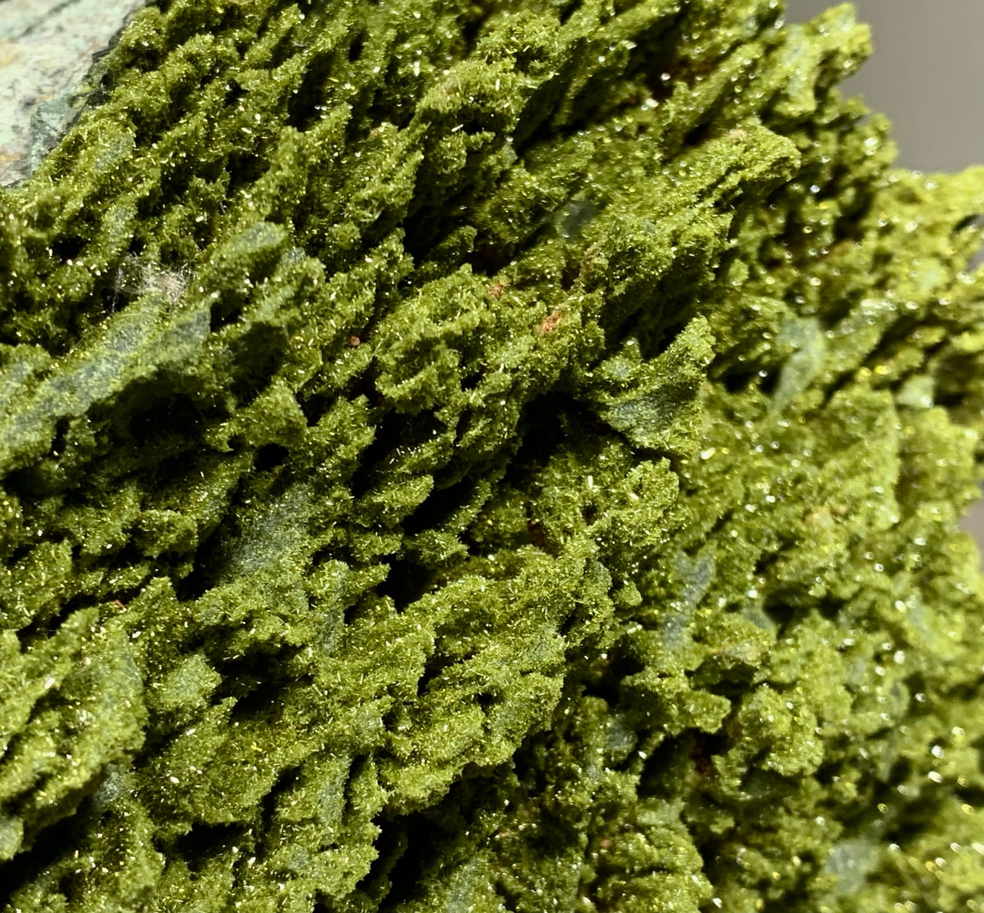 Macro photography of a Turkish epidote epimorph, detailing the complex hollow boxwork architecture and velvety microcrystalline druzy.⁠