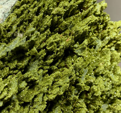 Macro photography of a Turkish epidote epimorph, detailing the complex hollow boxwork architecture and velvety microcrystalline druzy.⁠