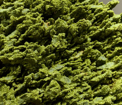 Close-up texture of natural pistachio-green epidote mineral, showcasing its unique botanical illusion that mimics ancient petrified moss.⁠