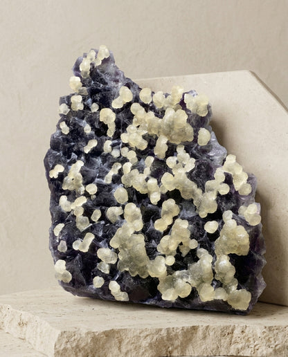 Monumental bi-color fluorite specimen featuring rare glowing yellow grape-like crystals against a deep purple background. Organic modern interior styling.⁠