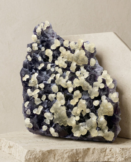 Monumental bi-color fluorite specimen featuring rare glowing yellow grape-like crystals against a deep purple background. Organic modern interior styling.⁠